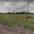  Land for sale in La Plata, Buenos Aires, La Plata