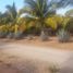  Terreno (Parcela) en venta en La Union, Guerrero, La Union