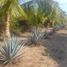  Terreno (Parcela) en venta en La Union, Guerrero, La Union