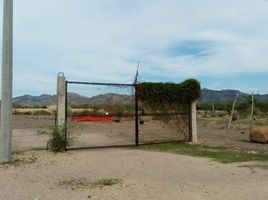 在Baja California Sur出租的 土地, La Paz, Baja California Sur