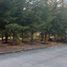  Land for sale in Morelia, Michoacan, Morelia