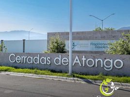  Grundstück zu verkaufen in Santiago, Nuevo Leon, Santiago