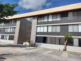 1 Schlafzimmer Appartement zu vermieten in Merida, Yucatan, Merida, Yucatan