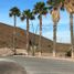  Land for rent in San Luis Potosi, San Luis Potosi, San Luis Potosi, San Luis Potosi