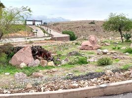  Grundstück zu vermieten in San Luis Potosi, San Luis Potosi, San Luis Potosi, San Luis Potosi