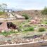  Land for rent in San Luis Potosi, San Luis Potosi, San Luis Potosi, San Luis Potosi