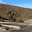  Land for rent in San Luis Potosi, San Luis Potosi, San Luis Potosi, San Luis Potosi
