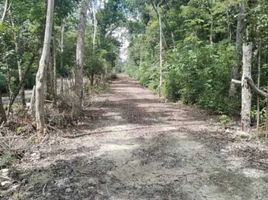  Land for sale in Felipe Carrillo Puerto, Quintana Roo, Felipe Carrillo Puerto