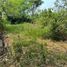  Land for sale in Centro, Tabasco, Centro, Tabasco
