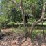  Land for sale in Centro, Tabasco, Centro, Tabasco