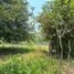  Land for sale in Centro, Tabasco, Centro, Tabasco