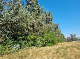 Land for sale in Chile, Pirque, Cordillera, Santiago, Chile