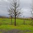  Land for sale in Chile, Machali, Cachapoal, Libertador General Bernardo Ohiggins, Chile