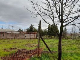  Land for sale in Chile, Machali, Cachapoal, Libertador General Bernardo Ohiggins, Chile