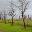  Land for sale in Chile, Machali, Cachapoal, Libertador General Bernardo Ohiggins, Chile