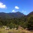  Land for sale in Chile, Pucon, Cautin, Araucania, Chile