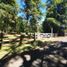  Terreno (Parcela) en venta en Chile, Pucón, Cautín, Araucanía, Chile