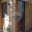 2 Bedroom House for rent in Santiago, Santiago, Santiago, Santiago
