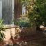 2 Bedroom House for rent in Santiago, Santiago, Santiago, Santiago