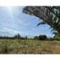  Land for sale in Chile, Paine, Maipo, Santiago, Chile