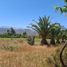  Land for sale in Chile, Paine, Maipo, Santiago, Chile