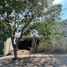  Land for sale in Villa De Alvarez, Colima, Villa De Alvarez