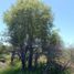  Terreno (Parcela) en venta en Maule, Retiro, Linares, Maule