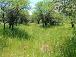  Terreno (Parcela) en venta en Maule, Retiro, Linares, Maule