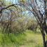  Terreno (Parcela) en venta en Maule, Retiro, Linares, Maule