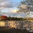  Land for sale in Tixkokob, Yucatan, Tixkokob