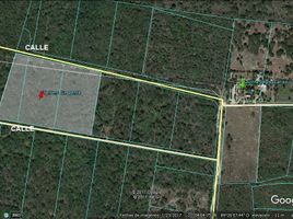  Land for sale in Tixkokob, Yucatan, Tixkokob