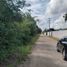  Land for sale in Tixkokob, Yucatan, Tixkokob