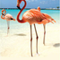 2 Bedroom Apartment for rent in Chicxulub Pueblo, Yucatan, Chicxulub Pueblo