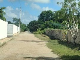  Grundstück zu verkaufen in Yaxkukul, Yucatan, Yaxkukul