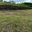  Land for sale in Pereira, Risaralda, Pereira