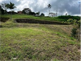  Land for sale in Pereira, Risaralda, Pereira