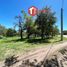  Grundstück zu verkaufen in Junin, San Luis, Junin