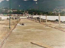  Terreno (Parcela) en venta en San Cristobal De Las Casas, Chiapas, San Cristobal De Las Casas