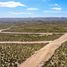  Terrain for sale in Tecate, Baja California, Tecate