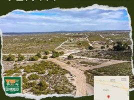  Terrain for sale in Tecate, Baja California, Tecate