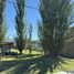  Land for sale in Confluencia, Neuquen, Confluencia