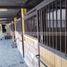 2 chambre Quinta for sale in FazWaz.fr, Monterrey, Nuevo Leon, Mexique