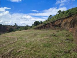  Terreno (Parcela) en venta en Marinilla, Antioquia, Marinilla