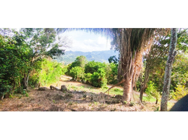  Terreno (Parcela) en venta en La Mesa, Cundinamarca, La Mesa