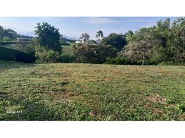  Land for sale in Armenia, Quindio, Armenia