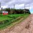  Land for sale in General Alvarado, Buenos Aires, General Alvarado