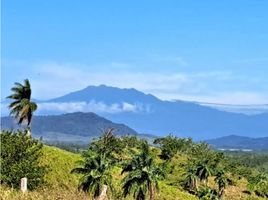  Terreno (Parcela) en venta en San Lorenzo, Chiriquí, Boca Chica, San Lorenzo