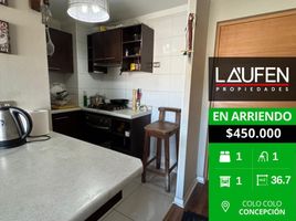 1 Habitación Apartamento en alquiler en Concepción, Biobío, Concepcion, Concepción