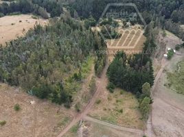  Terreno (Parcela) en venta en Chile, Nueva Imperial, Cautín, Araucanía, Chile