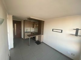 1 Bedroom Apartment for rent in Chile, Puente Alto, Cordillera, Santiago, Chile